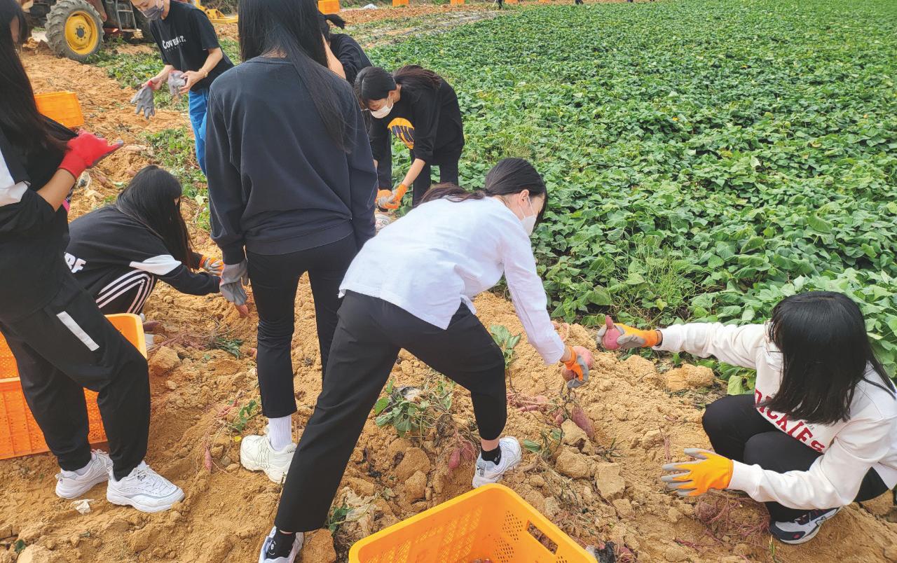 영암의 특산물인 무화과 재배 현장을 찾아 정한웅 농장지기의 설명을 들으며 수확체험을 하는 학생들 