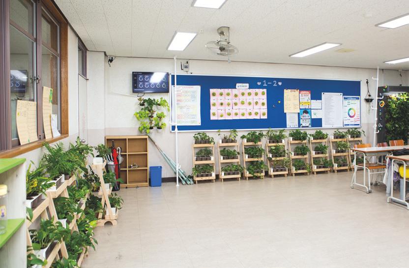 황교선 교장은 코로나19로 닫혔던 교문을 다시 열면서 학생들에게  교실을 치유의 공간으로 돌려주고자 2년 전부터 교실숲, 친환경교실을  운영해오고 있다. 