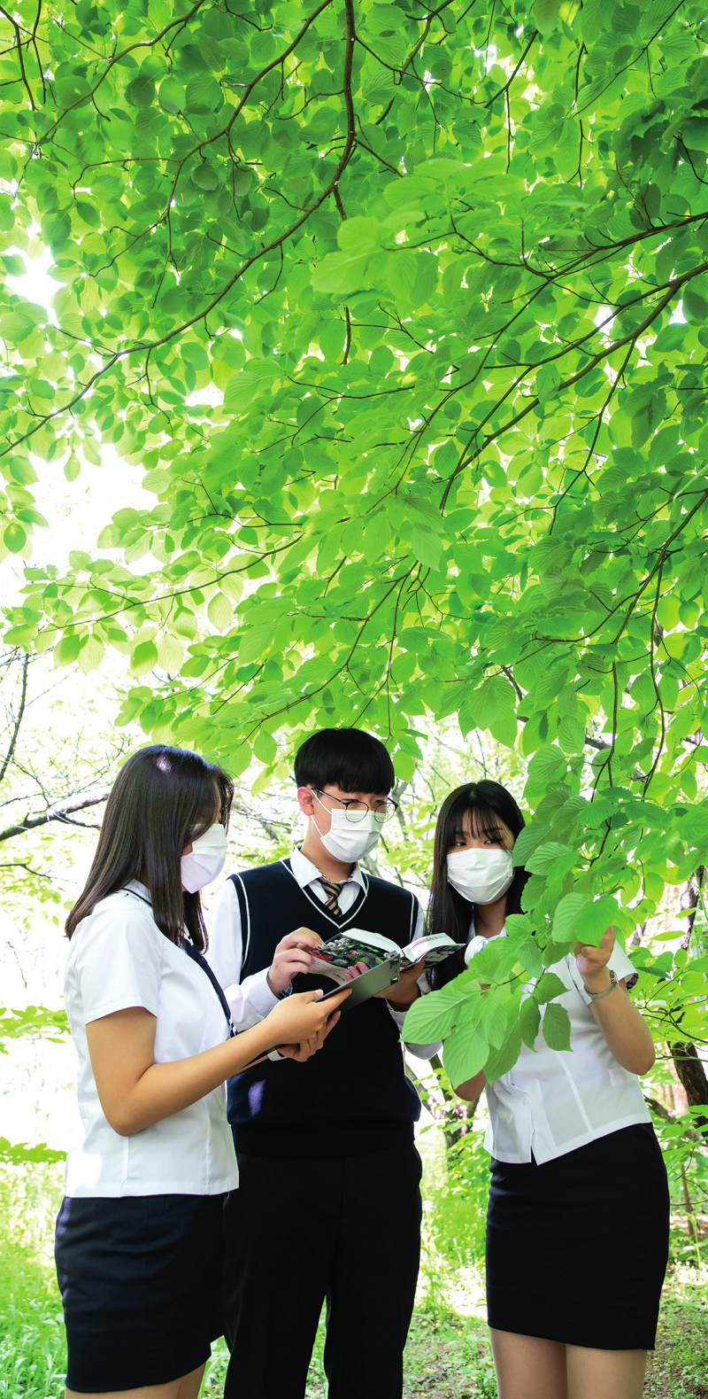 지난 5월 13일 3교시 환경수업 시간에 1학년 6반  학생들이 건물 뒤편 중정원에 모였다. 학교에 어떤  나무가 심겨 있는지 관찰하고, 나무 도감을 활용해  탐색해보는 수업이 진행됐다.