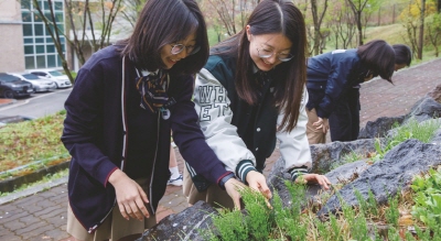 3. 식생이 풍부한 생태탐방로에서 식물을 관찰하는 학생들