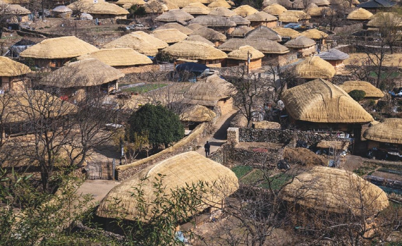 낙안읍성 안에 초가 90여 채가 옹기종기  모여 있다.