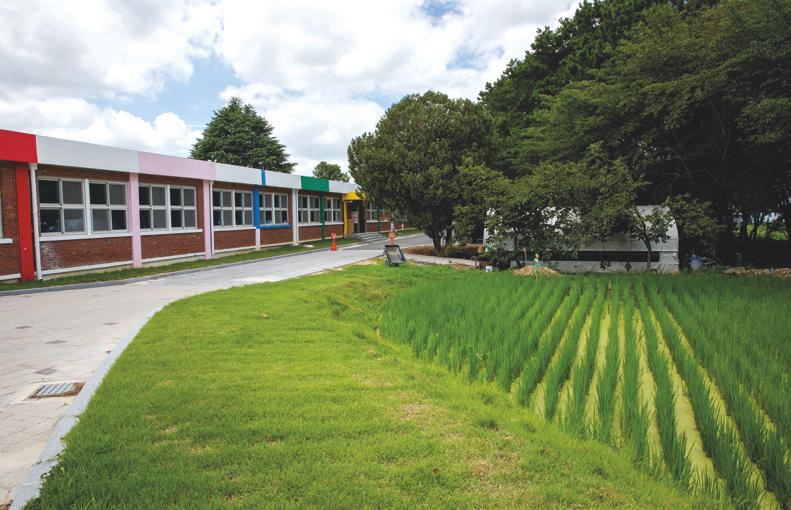광주북초는 학교 내 텃밭을 논으로 탈바꿈해  전교생이 벼농사를 짓고 있다. 학교 울타리 안에  논을 조성한 것이 특징이다. 