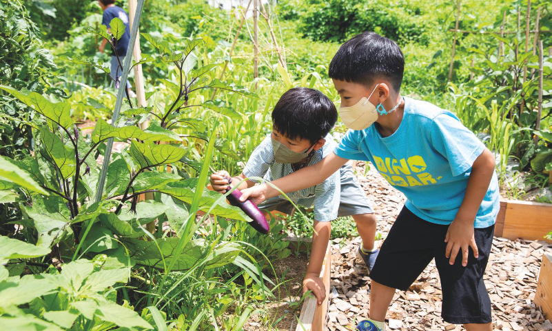 학교는 벼농사 외에도 아이들의 삶에  스며드는 다양한 생태·환경교육을 하고 있다.  학교 텃밭에서 농작물을 수확하는 아이들