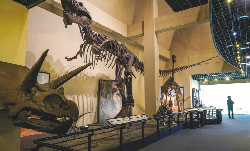 세계3대 공룡발자국 화석지인 고성의 자연사를 전시해 놓았다.
